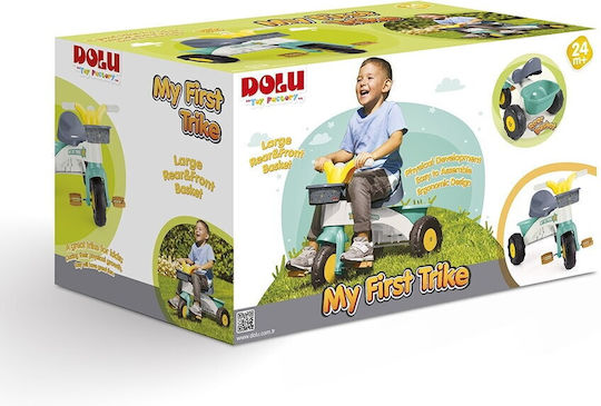 Dolu Mein Erster Kinderdreirad Wandelbar mit Elterngriff für 2+ Jahre Mehrfarbig