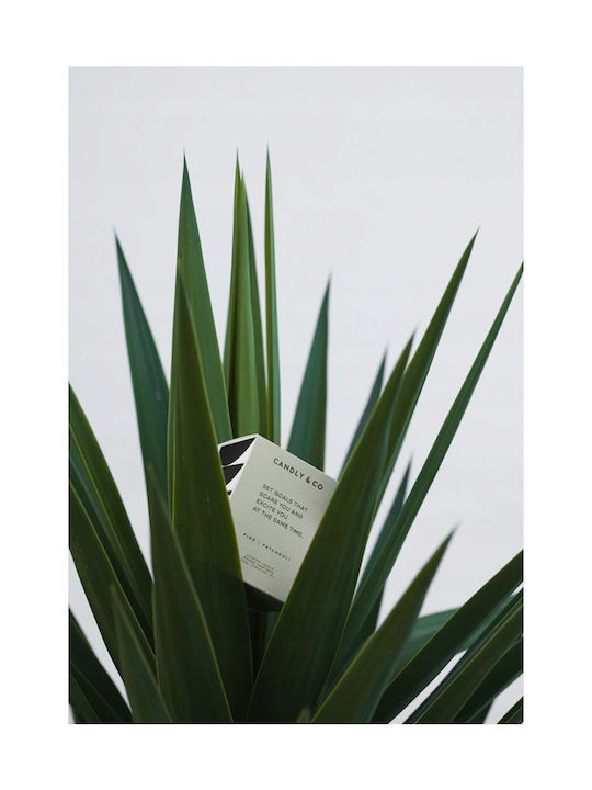 Candly & Co. Lumânare Aromatică Din Soia În Borcan Negru 250gr
