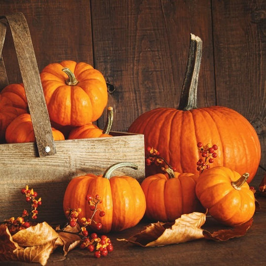 Aromă Pentru Lumânări Pumpkin Spice 100gr