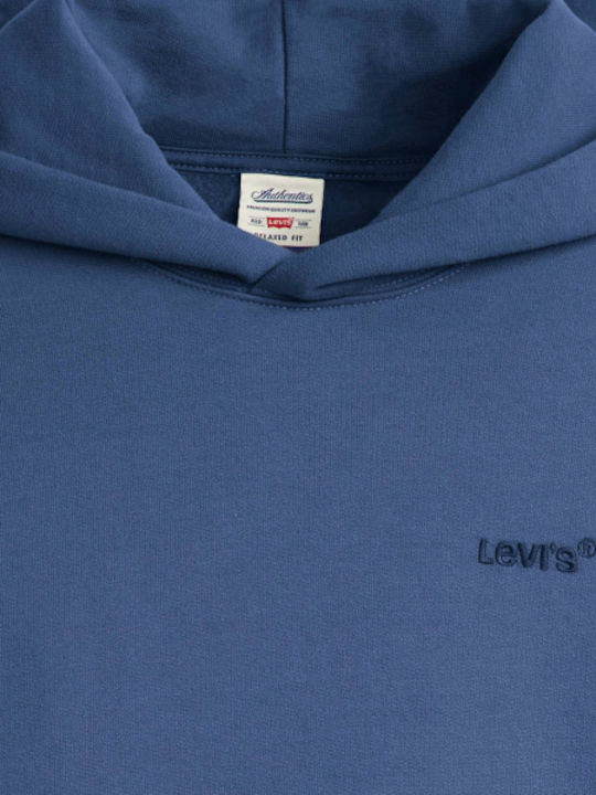 Authentic Sweatshirt mit Kapuze Blau