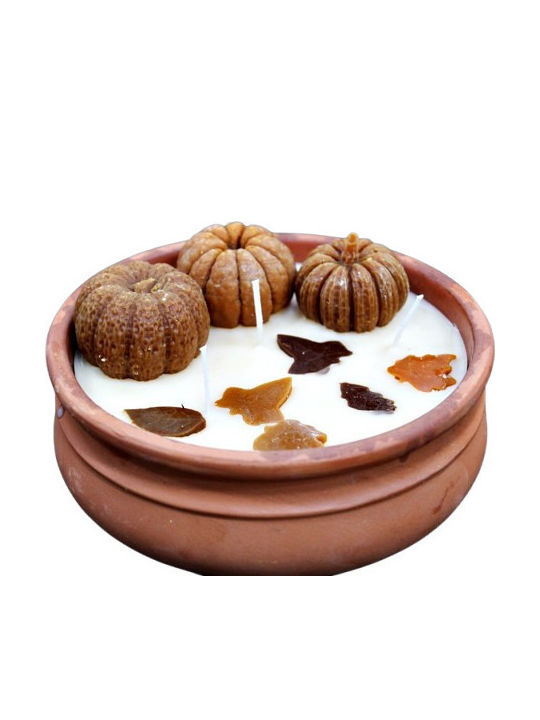 Tonkerne 14x5cm Mischung Kürbisse-Blätter Duft Pumpkin Spice