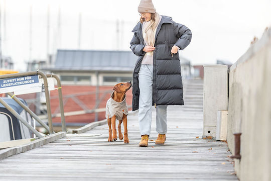 Trixie Husum Beige Waterproof / Windproof Dog Coat XSmall with 30cm Back Length