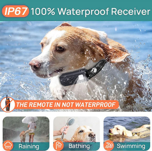 Dog Training Shock Collar with Range 1000m