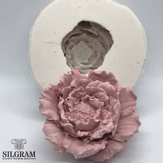 Carnation