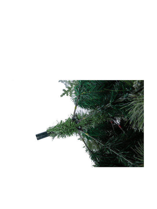 Christmas Tree Colorado 240cm with 1300 Branches