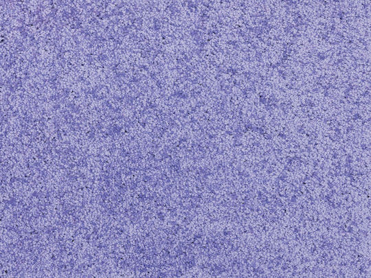 Nikotex Carpets Антислип Детски Килим Hamilton Виолетов 160x240