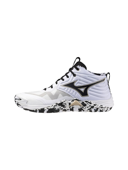 Mizuno Mizuno
