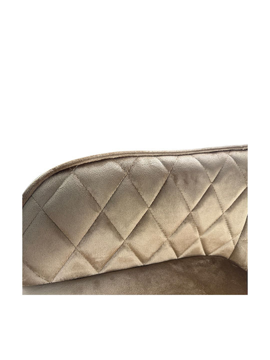 Florencia Stühle Speisesaal Cappuccino/black 1Stück 56x60x81cm