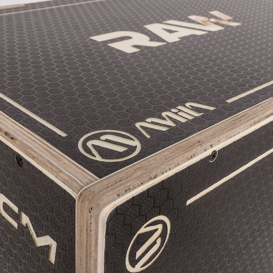 AMILA Tempo 84560 Wooden Plyometric Box