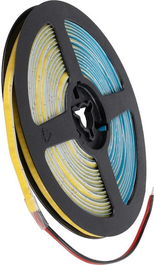 GloboStar LED Strip Bee 24V Cold White Light 5m Type COB