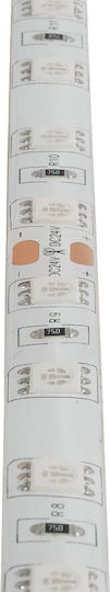 GloboStar Αδιάβροχη Ταινία LED Lumar 24V Μπλε Φως 5m Τύπου SMD5050