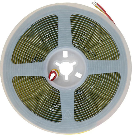 GloboStar LED Strip Bee 24V Adjustable White Light 5m Type COB