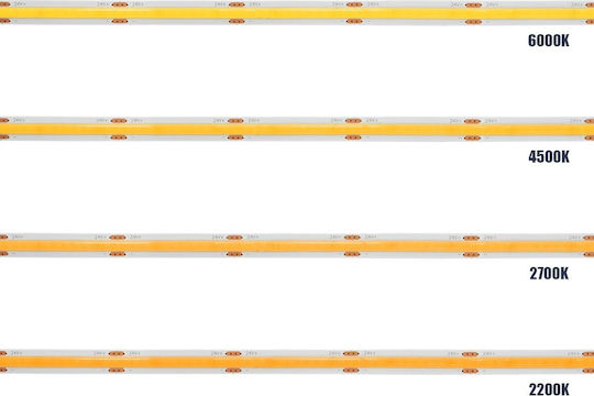 GloboStar LED Strip Bee 24V Natural White Light 5m Type COB
