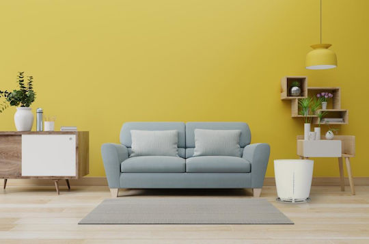 Stylies за помещения 50м²