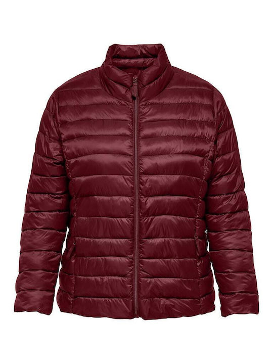 Short Women's Puffer Jacket for Winter Purple