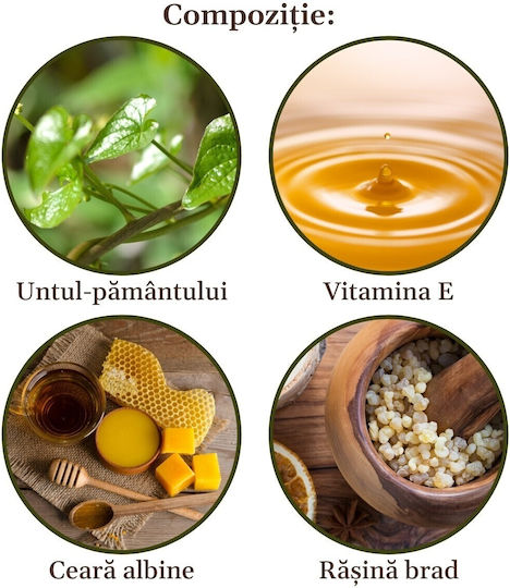 Unguent de Bryonia Neagră Reumatism Dureri Articulare și Musculare Faunus Plant 50ml