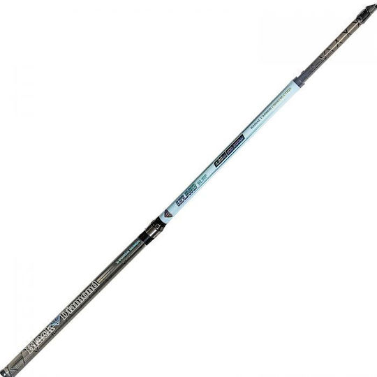 Black Diamond Fishing Rod for Surf Casting 4.2m 100-200gr