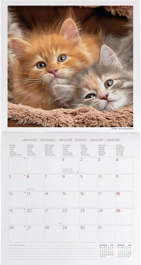 Legami Milano Kittens Μηνιαίο Επιτοίχιο Ημερολόγιο 2026 29x30εκ.
