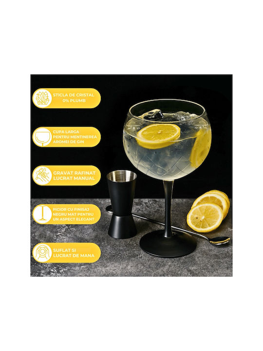 Miamio Set de pahare Cocteiluri din Sticlă 650ml 2buc