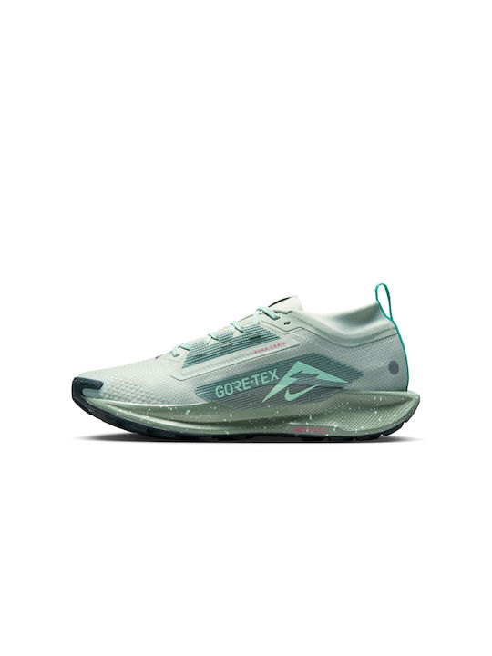 Pegasus Trail 5 Sport Shoes Trail Running Waterproof with Gore-Tex Membrane Gray
