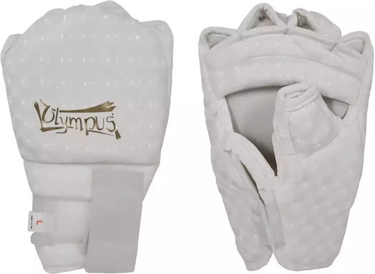 Arm Guards & Elbow Pads And Detachable Gloves Olympus Flex Pro