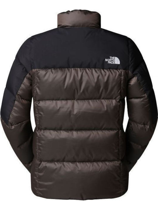 The North Face The North Face