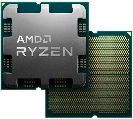 AMD Ryzen 5 9600 3.8GHz Процесор 6 Ядра за Сокет AM5 в Tray Включва Охладител