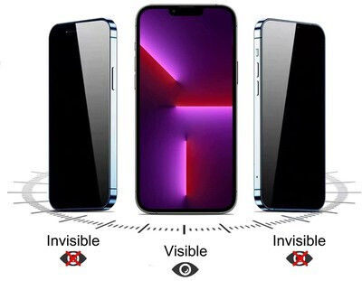 Powertech Gehärtetes Glas Emery Private 5D TGC-0767 iPhone 16 Vollleim