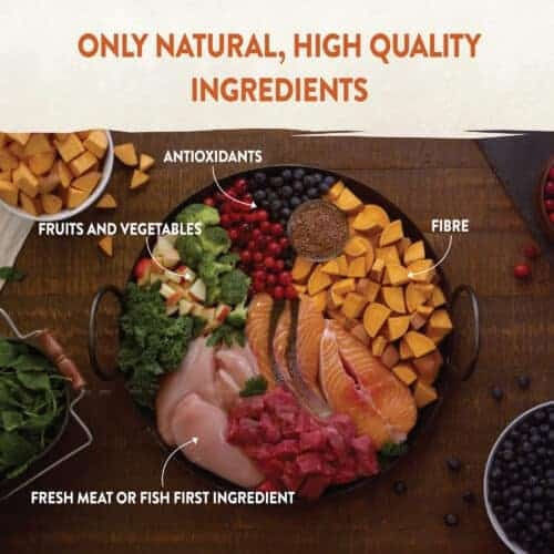 Wellness Core Savoury Medleys Υγρή Τροφή Σκύλων σε Ταψάκι με Βοδινό, Κοτόπουλο και Λαχανικά χωρίς Σιτηρά 85gr