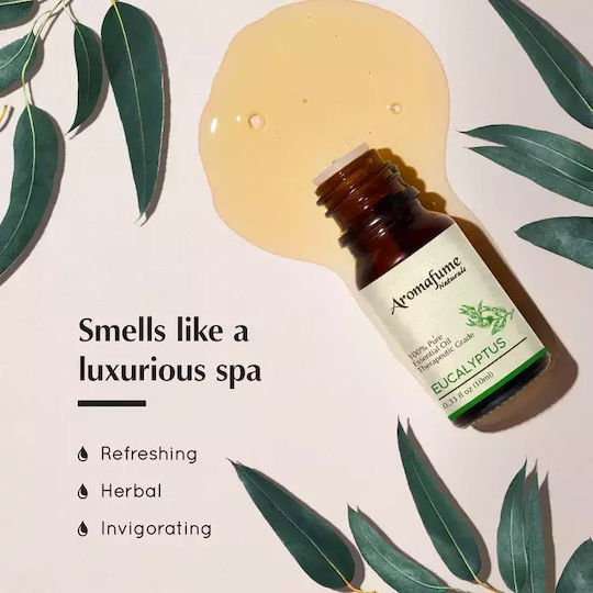 Φυσικό Αιθέριο Έλαιο Ευκάλυπτου Natural Essential Oil Eucalyptus 10ml