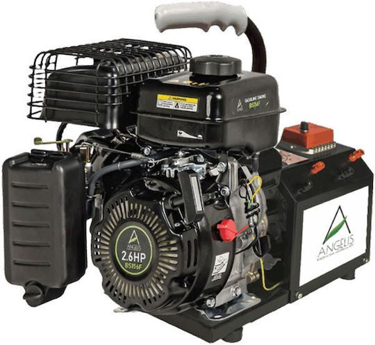 Agelis Olive Harvester Generator 70A with Dynamo