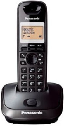 Panasonic KX-TG2511FXT Telefon fără fir Titanium Black