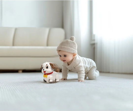 Hola Toys Βρεφικό Παιχνίδι με Μουσική, Φως και Ήχους για 36+ Μηνών