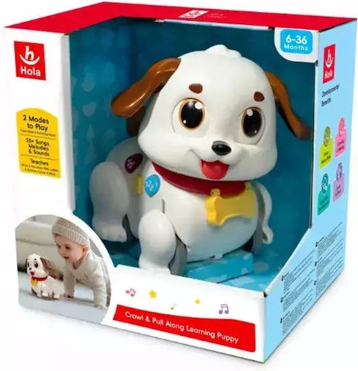 Hola Toys Βρεφικό Παιχνίδι με Μουσική, Φως και Ήχους για 36+ Μηνών