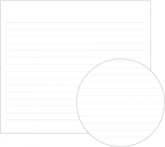 Apica Premium Notebook Carnet 96 Foi Cu dungi Multicolor