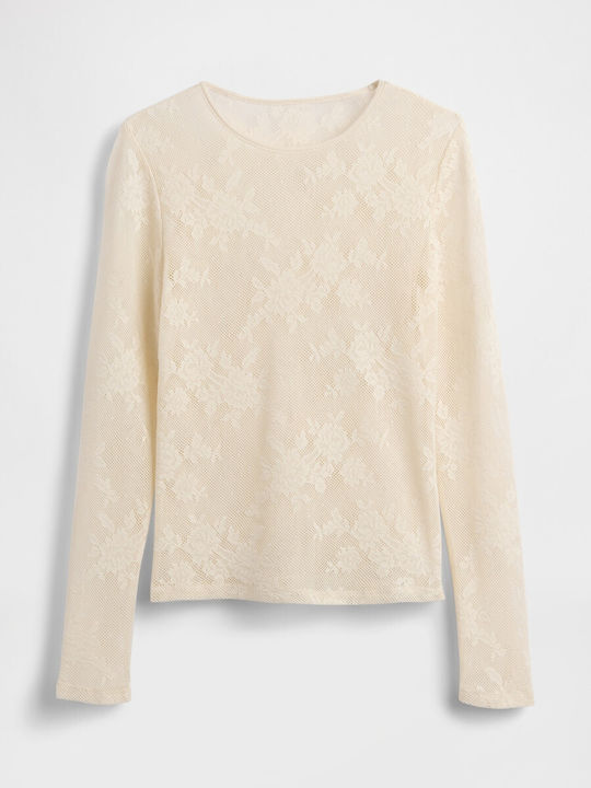 Women's Crop Top with Lace & Sheerness Beige