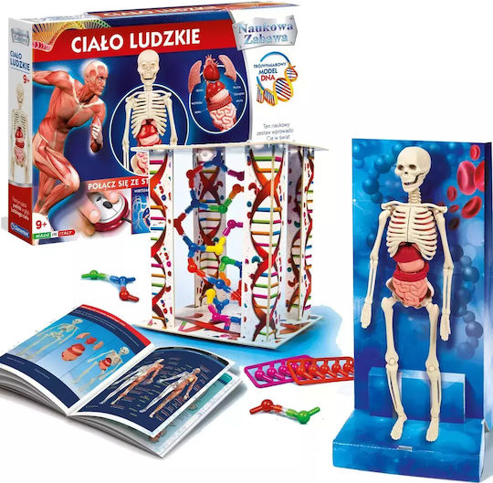 Clementoni Scientific Fun Human Body 60249