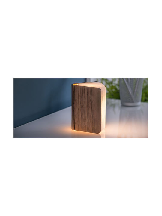 Gingko Decorative Lamp Book Brown