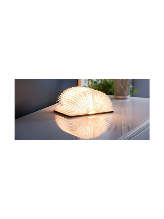 Gingko Decorative Lamp Book Brown