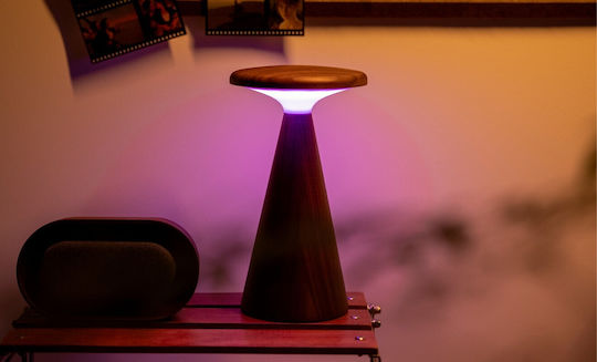 Gingko Διακοσμητικό Φωτιστικό LED RGB
