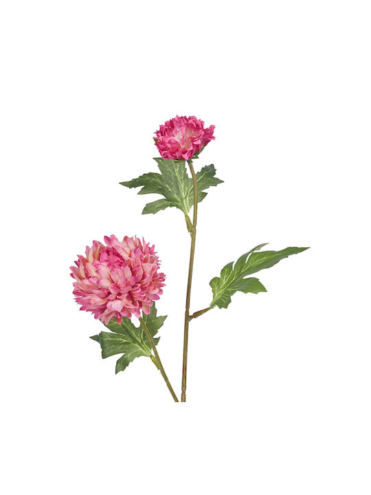 Florista Χρυσάνθεμο Φούξια