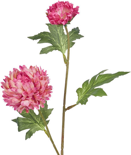 Florista Fuchsien Chrysantheme Florista Fuchsien Chrysantheme
