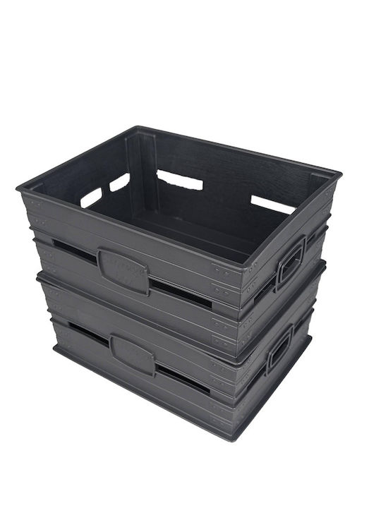 Plast Art Coș de Depozitare Plastic 3.1lt 1buc