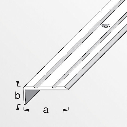 Alfer Aluminium Profile Aluminum for Steps 100x2.5x1cm