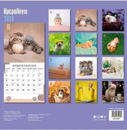 Minoas Kittens Daily Wall Mounted Diary 2026 30x30cm