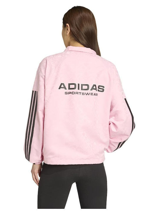 adidas adidas