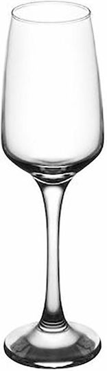 Gurallar Lal Set Brillen Champagner Kelch Glas 230ml 6 Stück