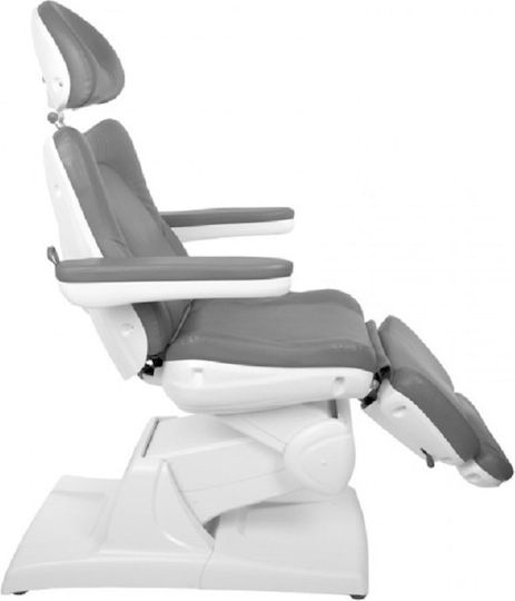 Beauty Chair Gray with Adjustable Height and Electric Lifting