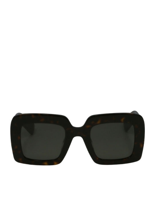 Kaleos Women's Sunglasses with Brown Tartaruga Plastic Frame and Brown Lens Gerhard 2