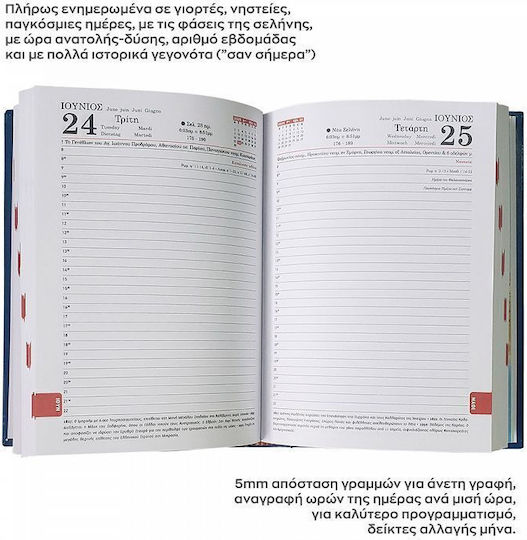 Daily Diary Pvc Pegasus 2026 21x29 Marble Blue